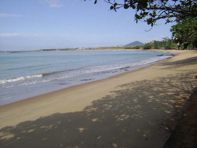 [DSC01494.JPG]