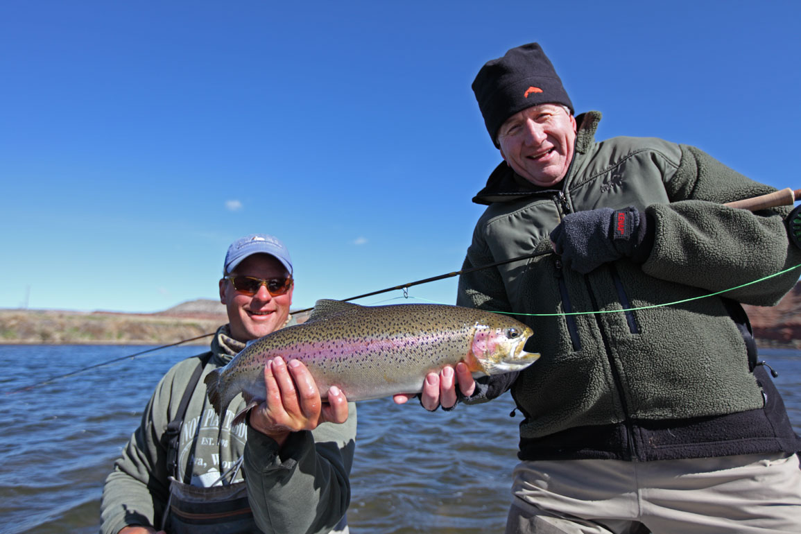 grey reef fly fishing