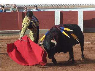 rivera2