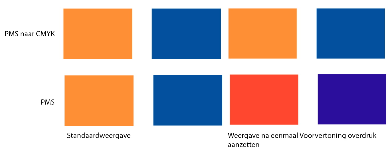 [PMS4.jpg]