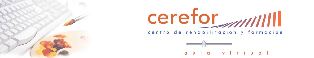Proyecto Cerefor - RIA.com