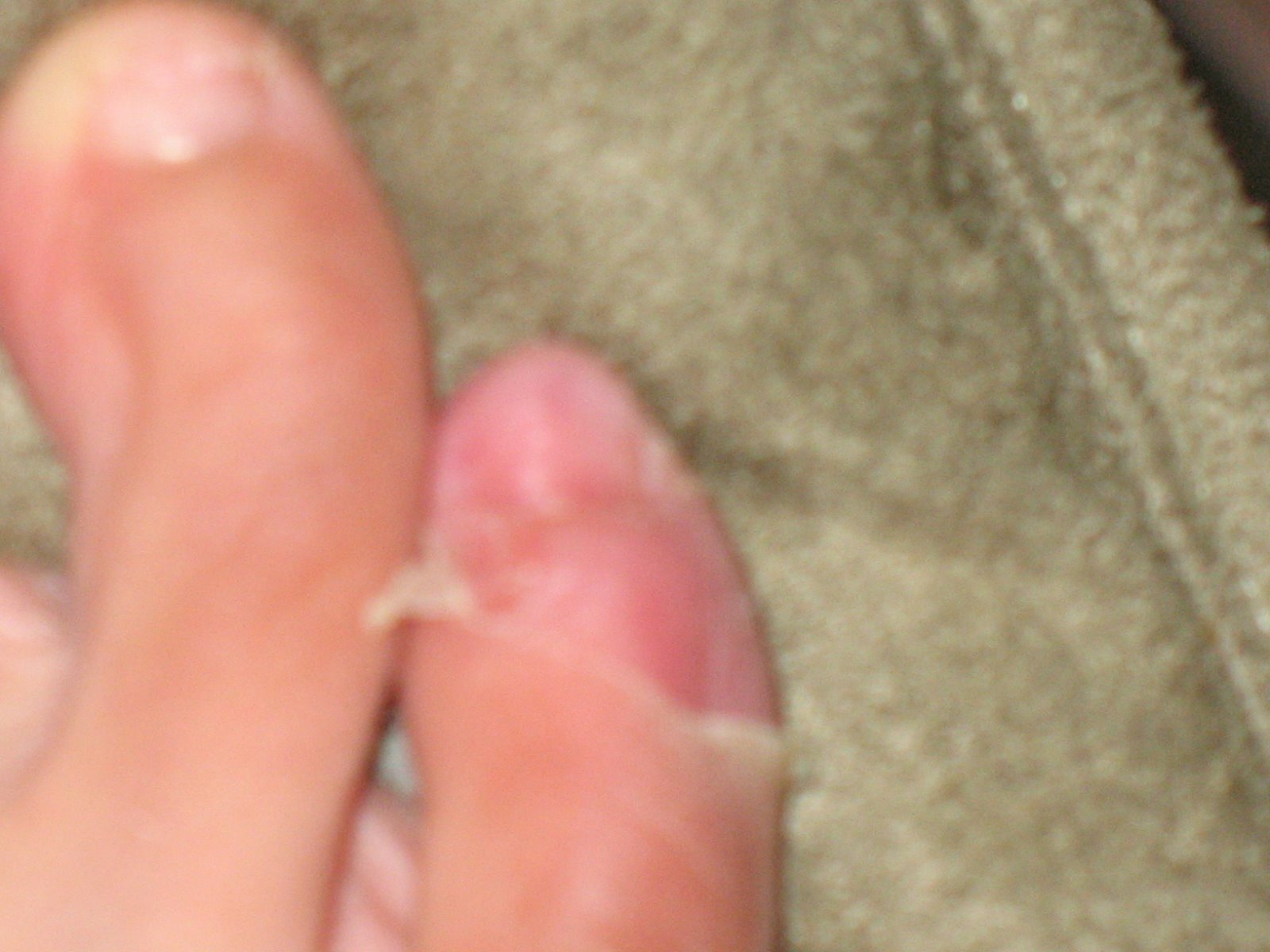 [IMG_0480.JPG]