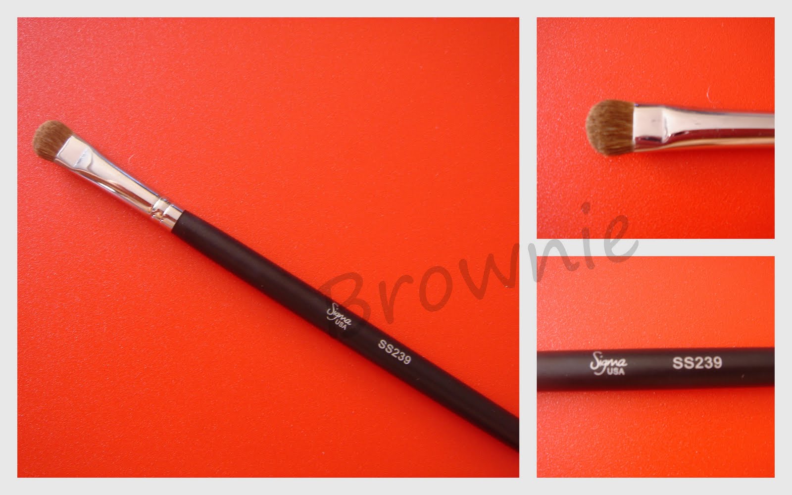 [2009-09-03+sigma+makeup+brushes6.jpg]