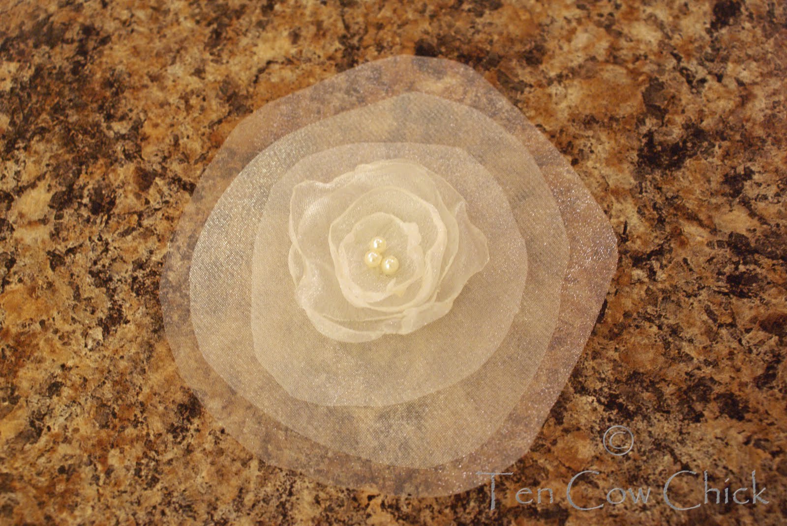 [2010+02+09+001.jpg]