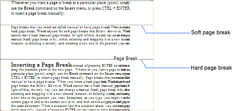 how to view section breaks word 2010