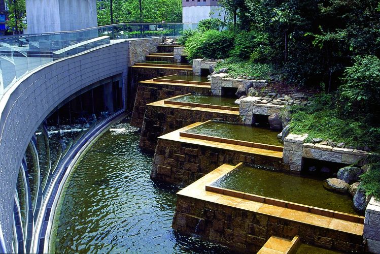 plantas jardim japones:SÍTIO MARAVILHA: Livro conta história e mostra os diferentes tipos plantas jardim japones:SÍTIO MARAVILHA: Livro conta história e mostra os diferentes tipos