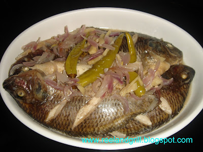 Recipes tilapia fish