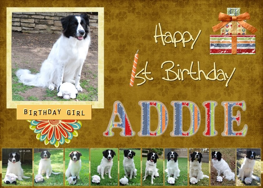 Raising Addie: Happy Birthday Addie!!