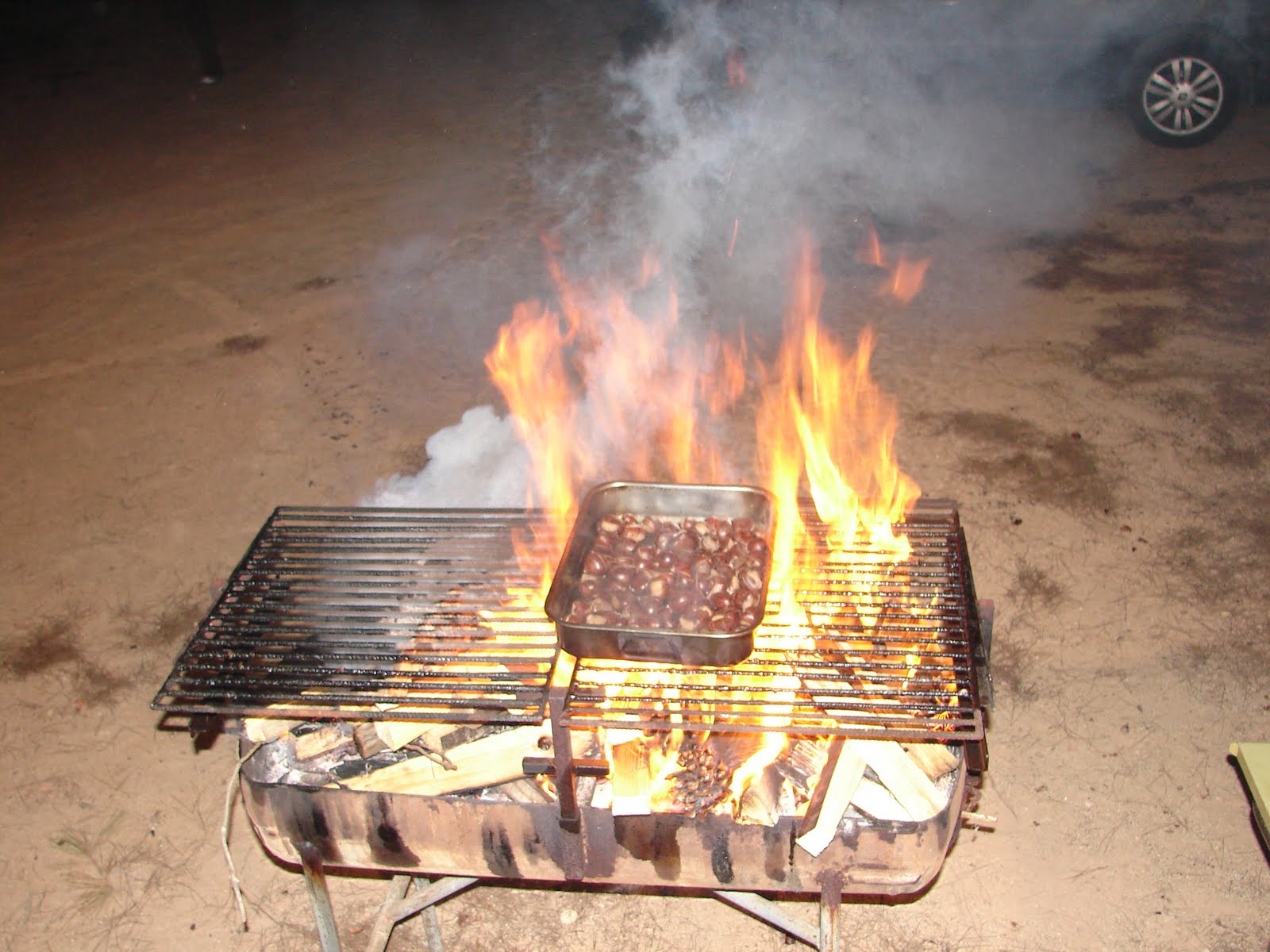[DSC06015.JPG]