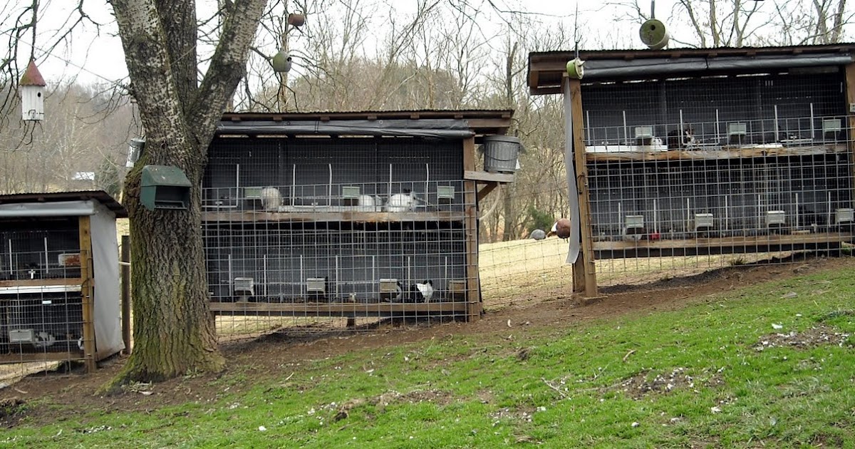 Buffalo Creek Farm and Creamery, LLC Rabbit Hutches