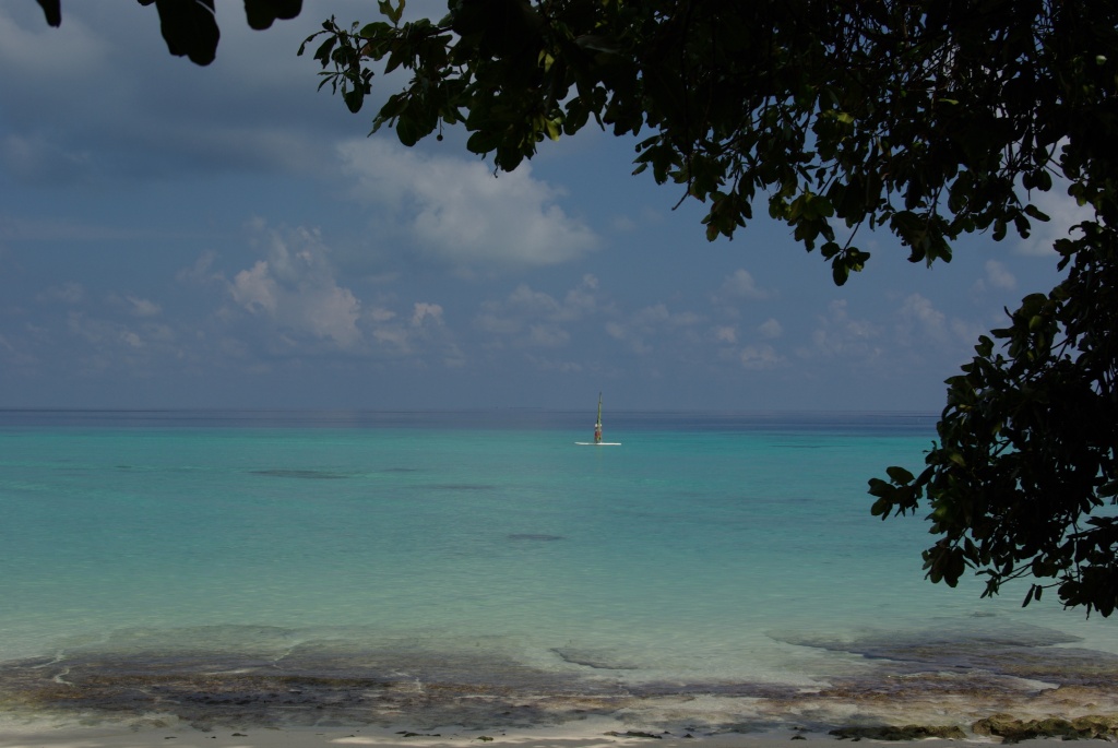 [image0318.JPG]