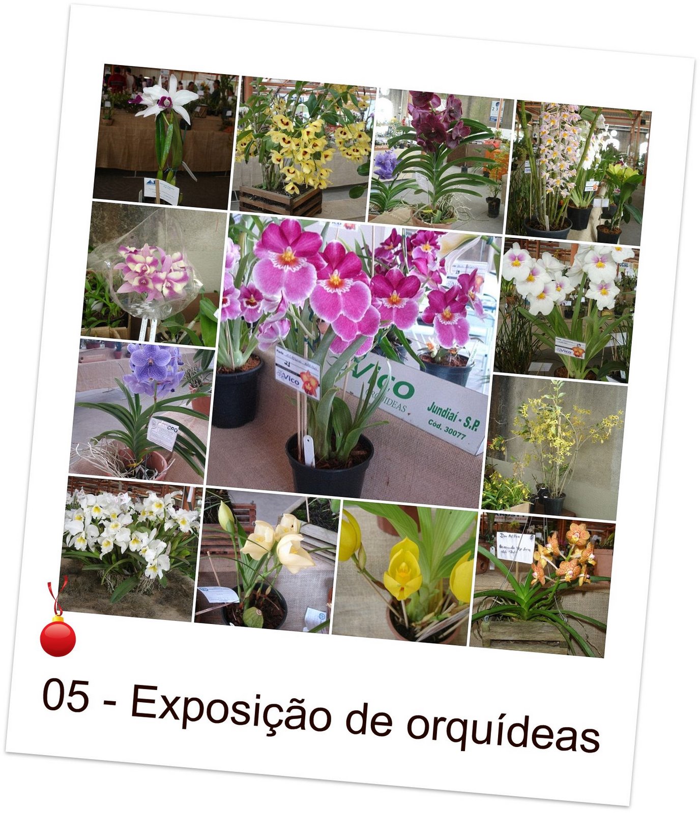 [mosaic4415500.jpg]