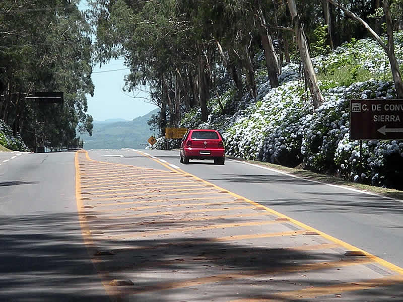 [20.jpg]