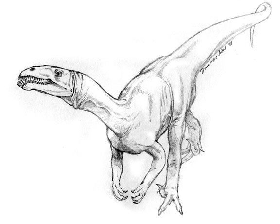 Masiakosaurus.jpg