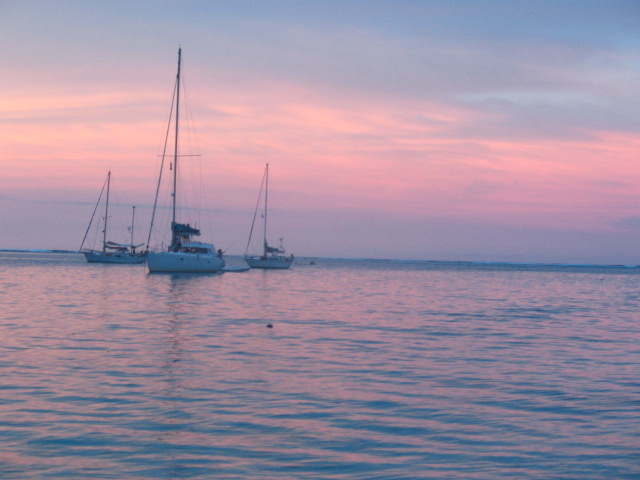 [IMG_2088.JPG]