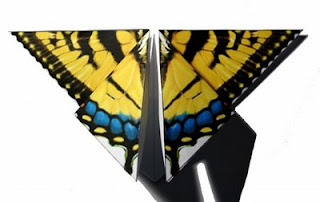Amazon.com: Fashion Origami: Fold Dazzling Designs (Klutz