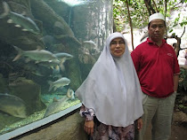 uMi+AyAh