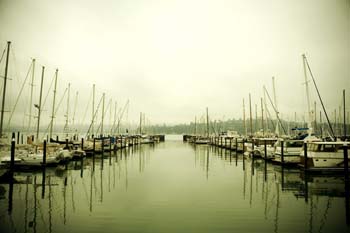 [_MG_7544.jpg]