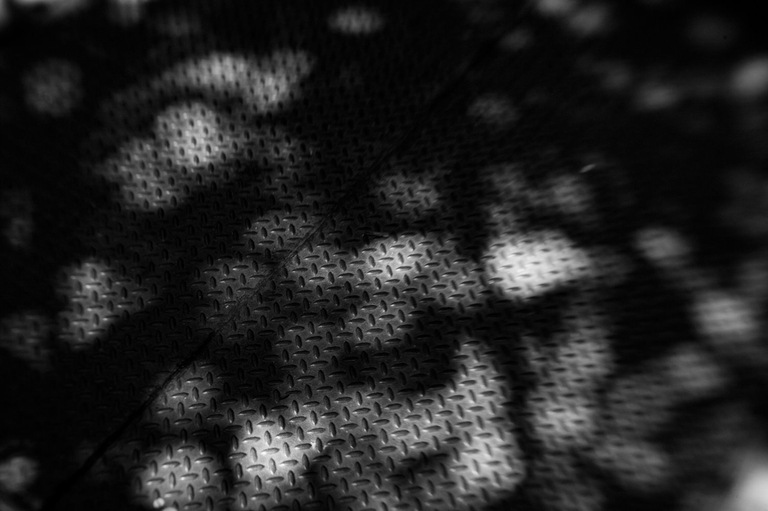 [net+(30).jpg]