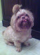 My photo