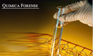 DEFINICION DE FORENSE definicion de forense: