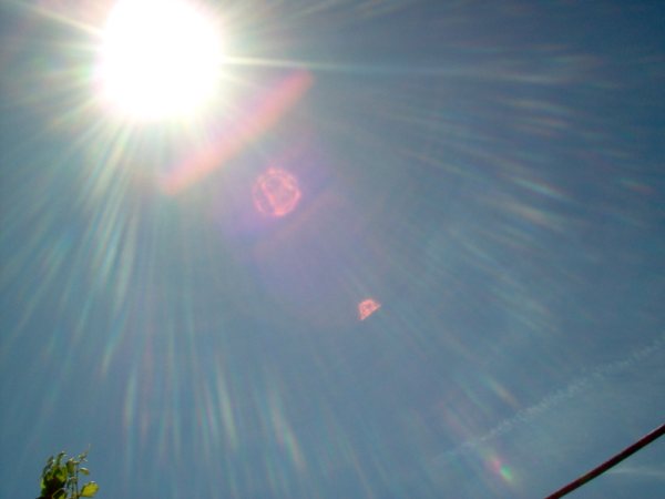 [IM000532-709227.JPG]