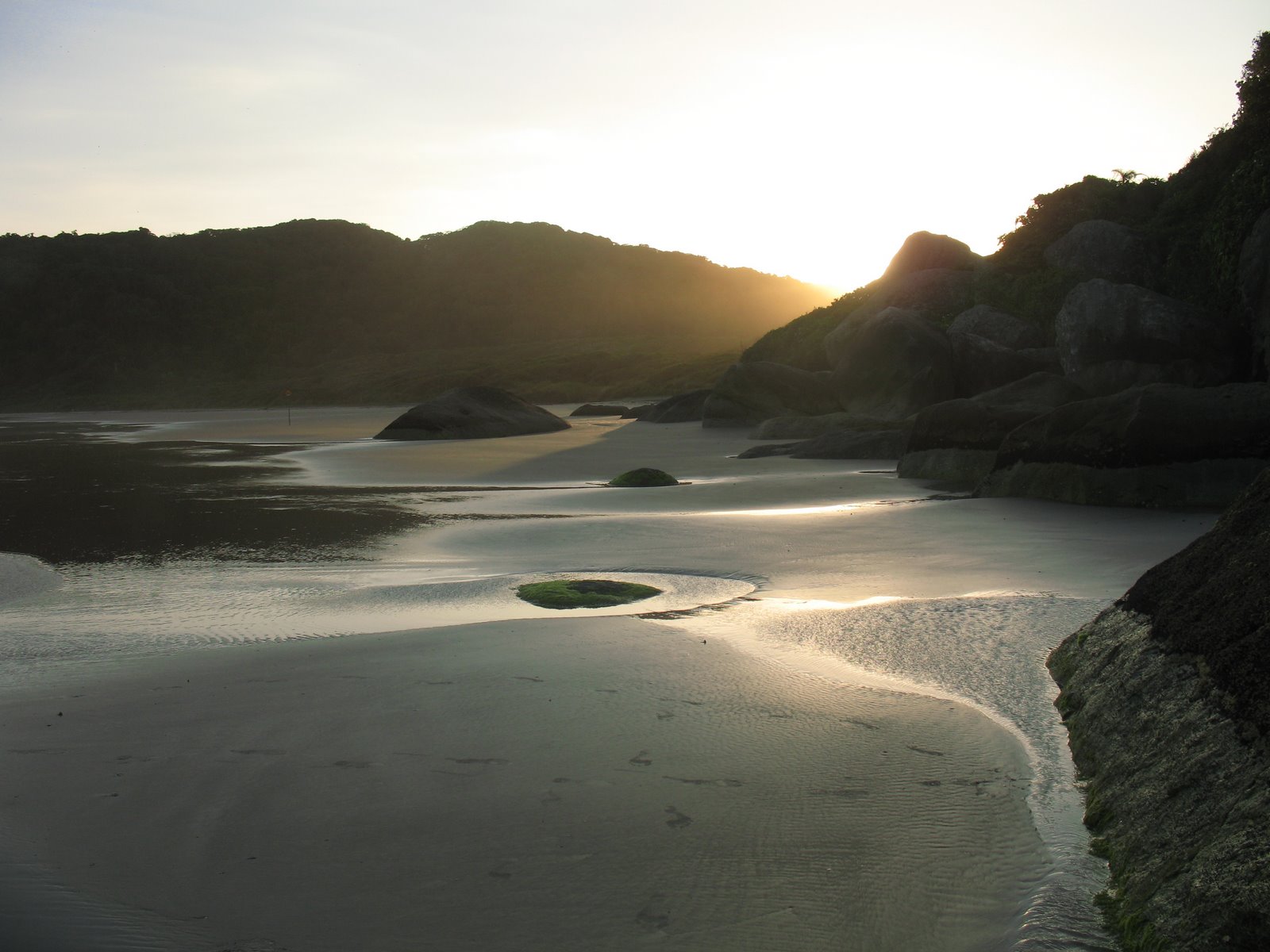 [IMG_7563.JPG]