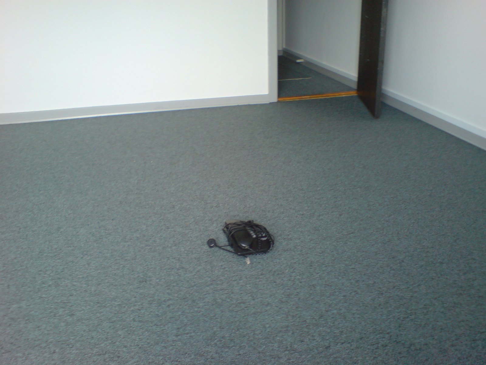 [DSC01256.JPG]