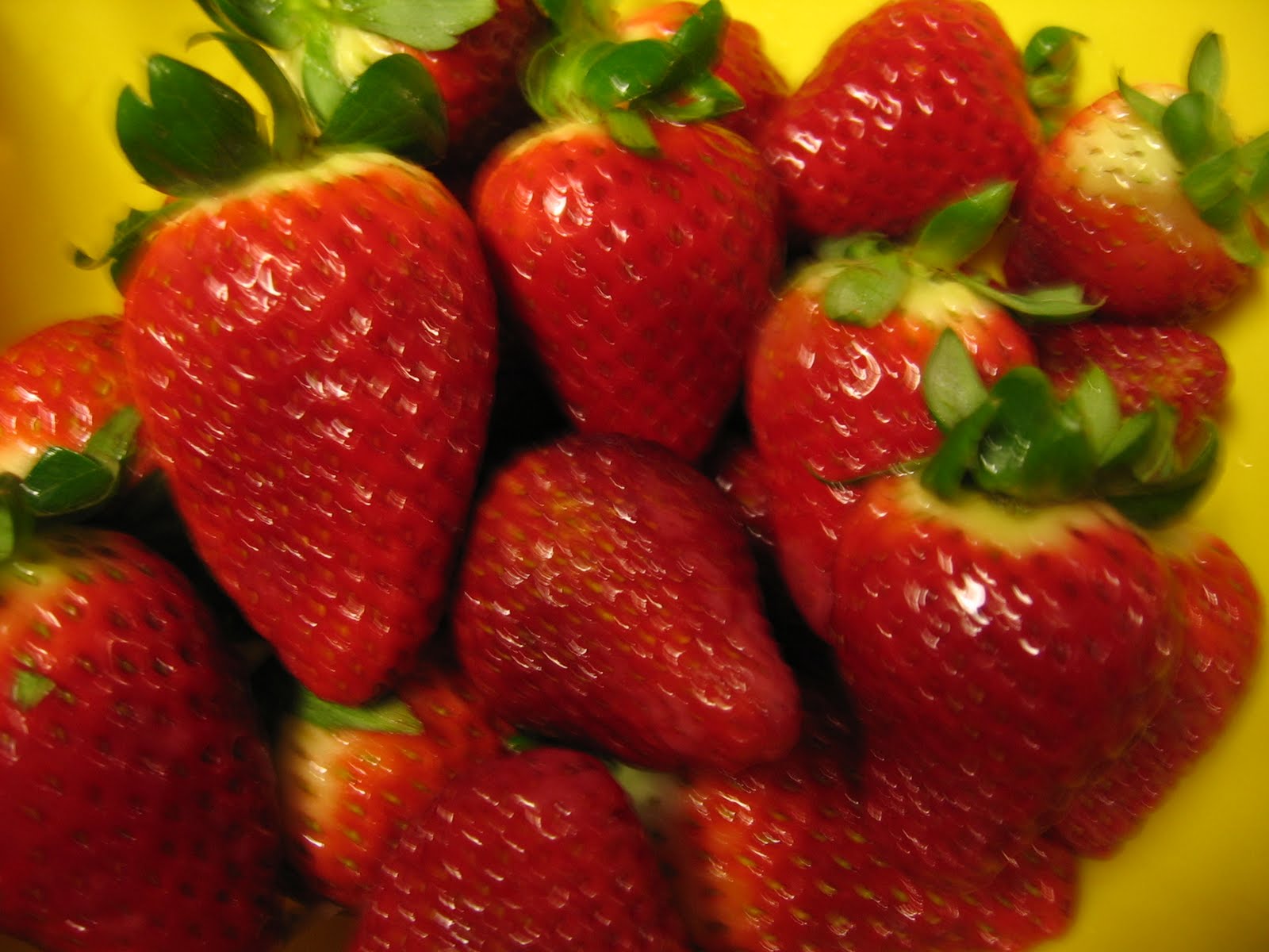 [Blogspot..2.9.10+047.JPG]
