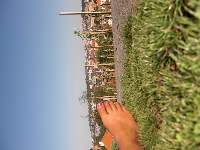 laying in the grass in the vineyard atop prague