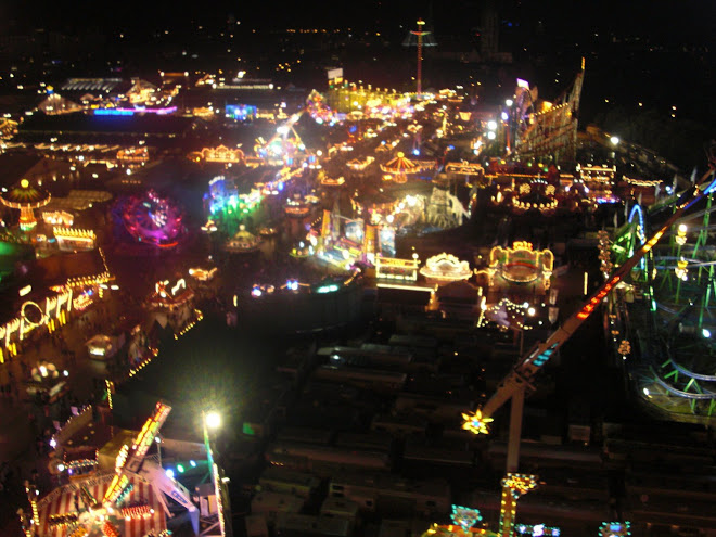 view from the ferris wheel