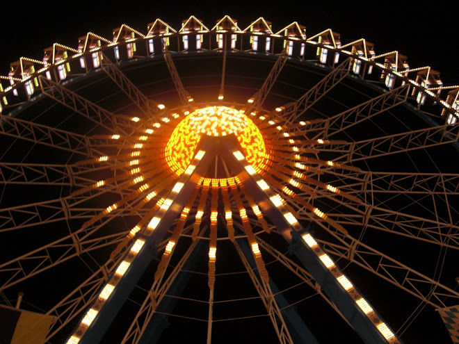 a view of the ferris wheel