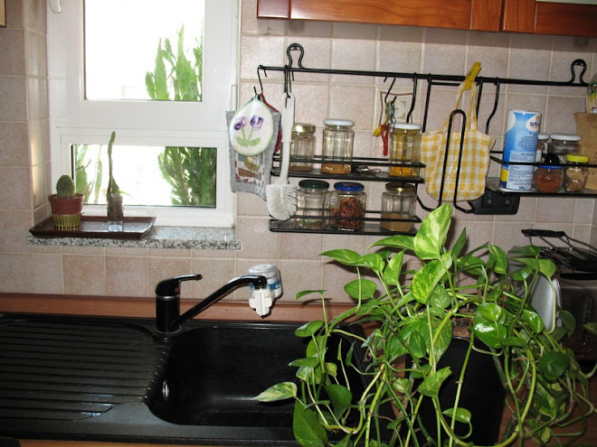 CUCINOTTO ATTREZZATO E FINESTRATO