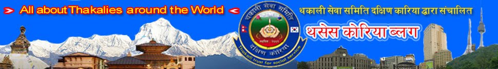 थसेस कोरिया ब्लग--