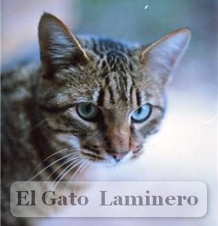 el gato laminero