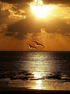 ¡Volver a volar!