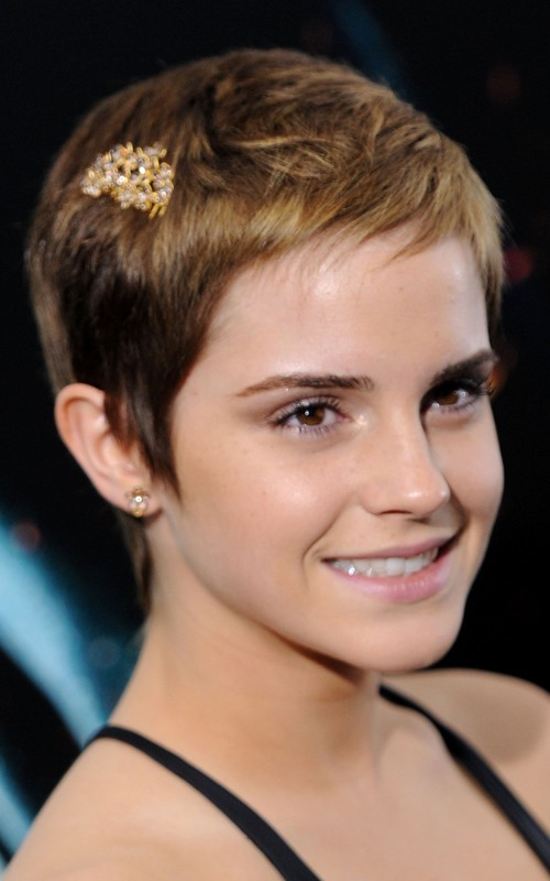 Las razones por las que Kristen Stewart ha adoptado un