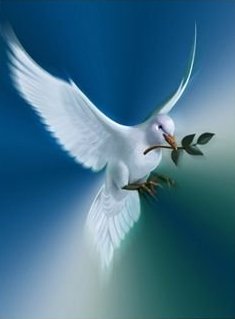 http://4.bp.blogspot.com/_dIUWQFWOY9U/S0Elc0K5JRI/AAAAAAAAAOs/GHBXDYTrmPs/s320/12350936.jpg