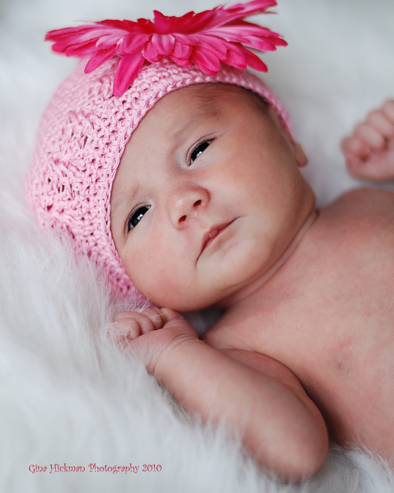 cute newborn baby girl cute newborn baby girl