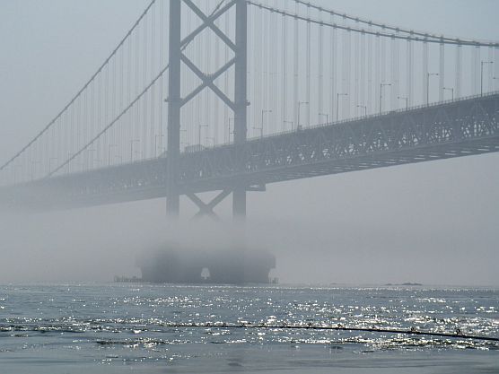 [Mist+the+pier.jpg]