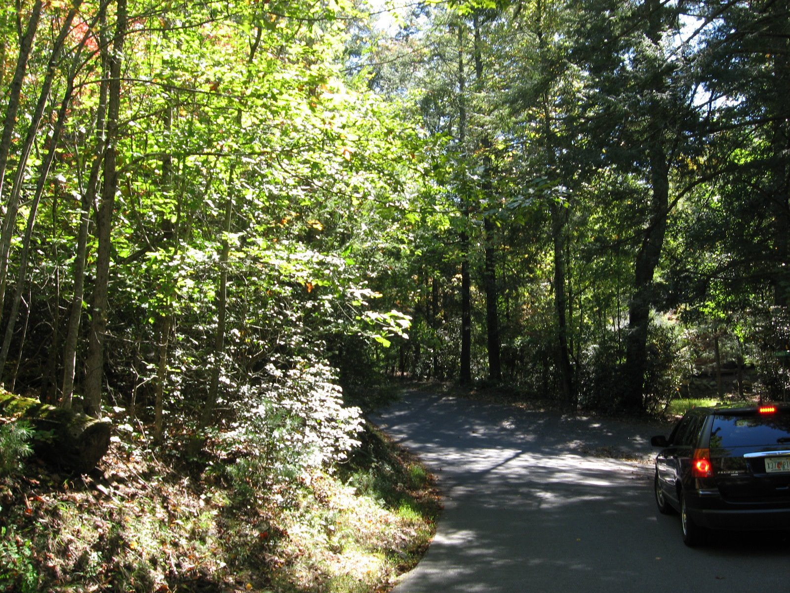 [IMG_0724.JPG]