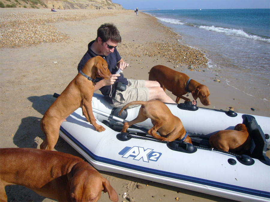 [dogs_on_boat.jpg]