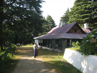 alena cihalikova alena cihalikova tube