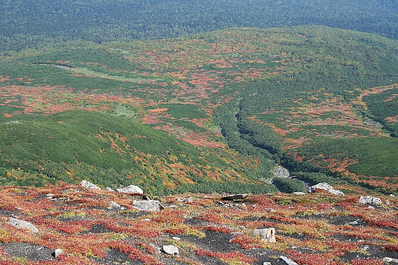 [070924-5.jpg]