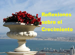 Reflexiones sobre el Crecimiento<br><br>