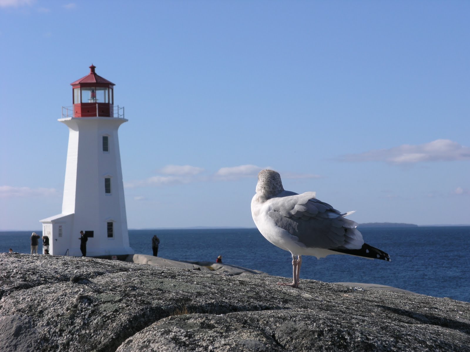 halifax to peggy s cove distance the cruisin fools queen mary day 5 halifax nova scotia halifax to peggy s cove distance the cruisin fools queen mary day 5 halifax nova scotia