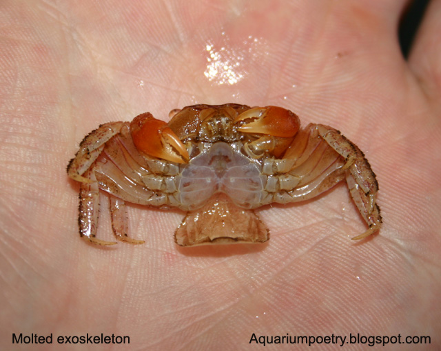 [160litersb+009.jpg]