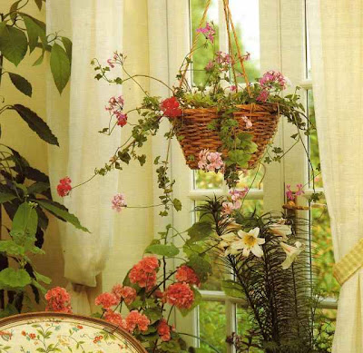serenata-flowers