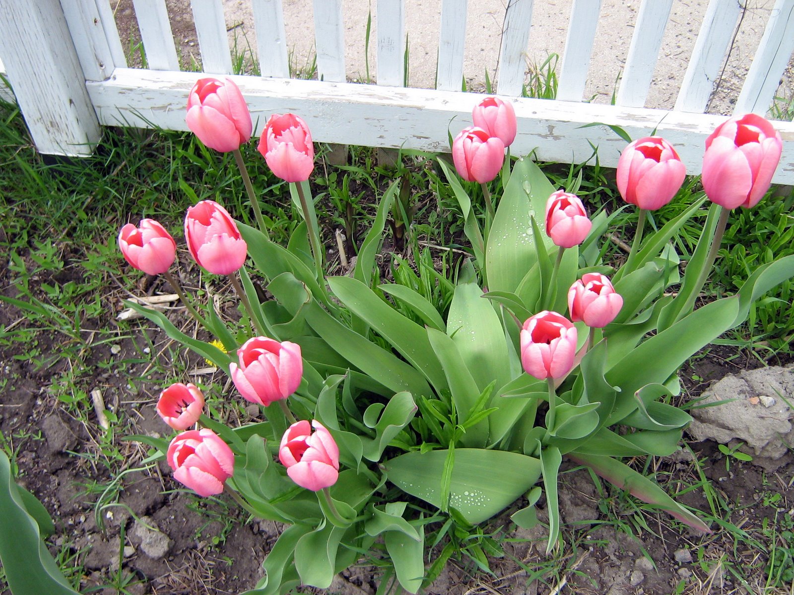 [IMG_0019.JPG]