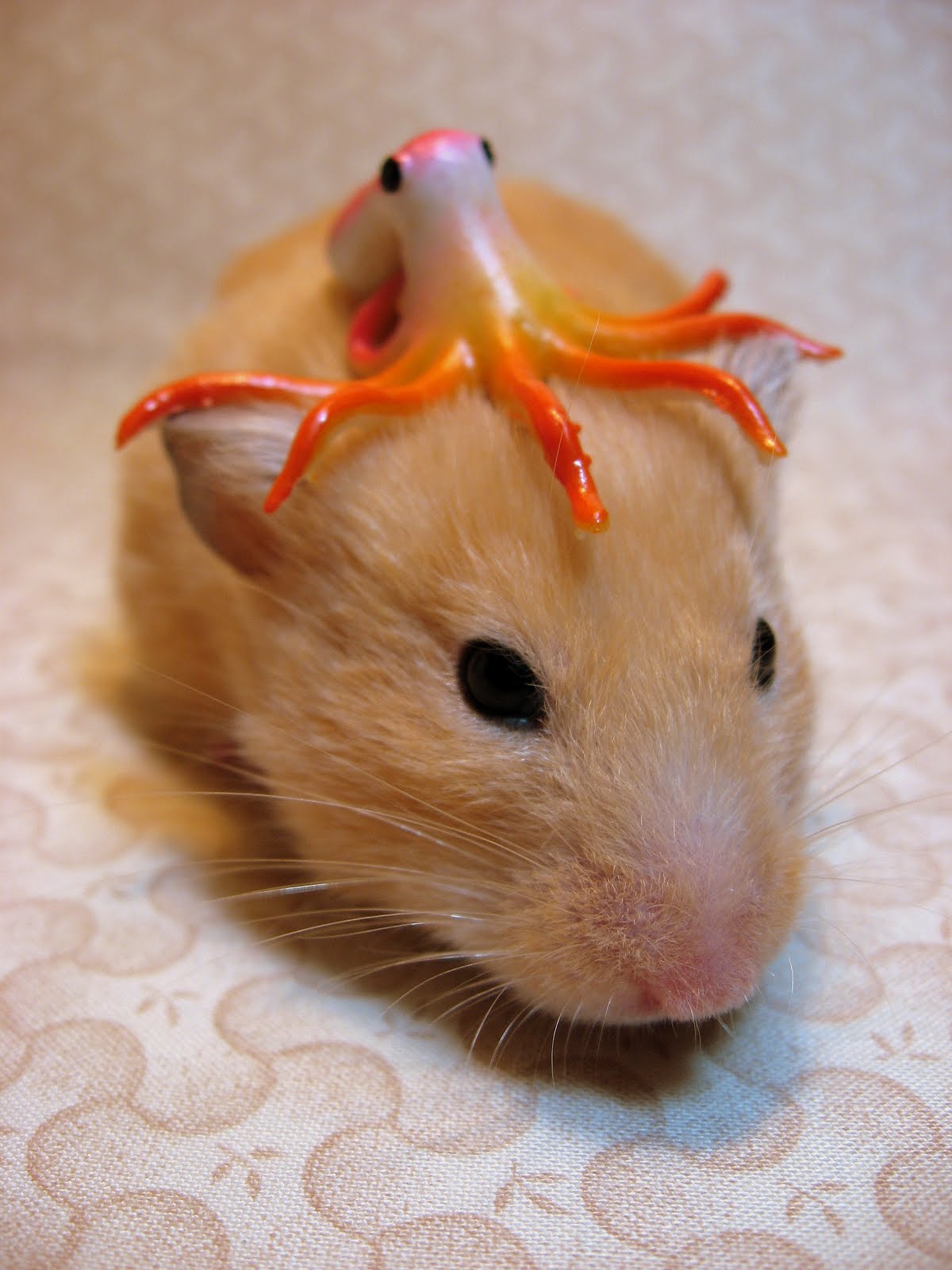 Jenis Hamster